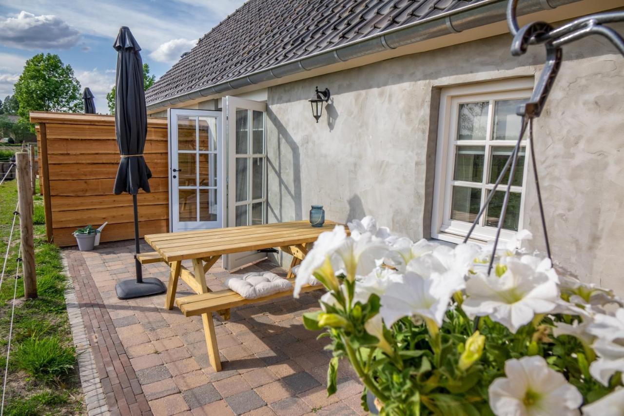 B&B Hoeve Klein Haneveld Sint-Oedenrode Exteriör bild